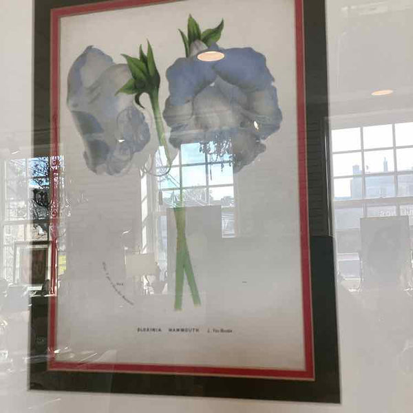 Framed Botanical