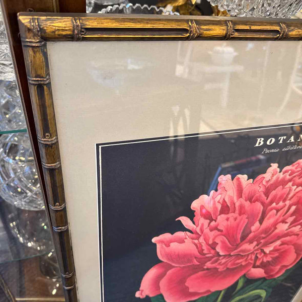 Framed Peony Print