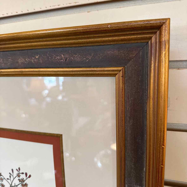 Framed Botanical Print