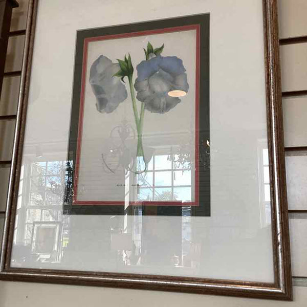 Framed Botanical