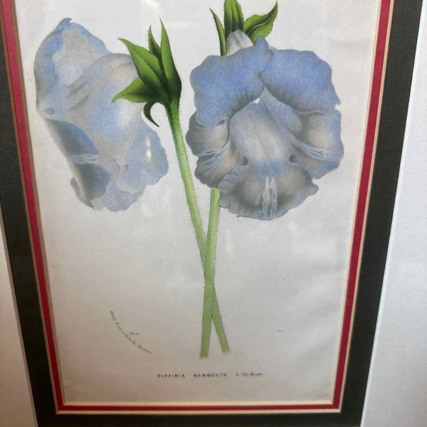 Framed Botanical
