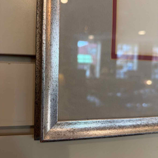 Framed Desert Cardinal Print