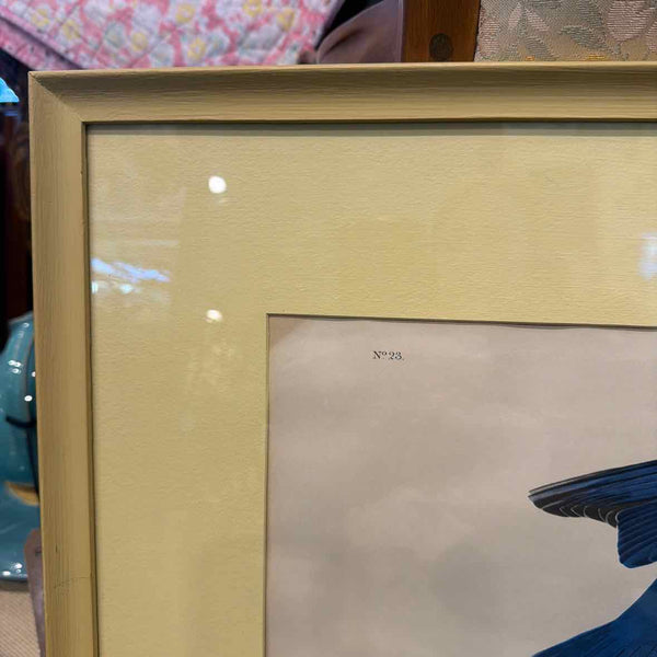 Vintage Blue Bird Print