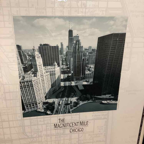 Framed "Magnificent Mile" Photograph