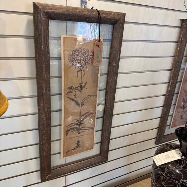 Pair Of Framed Floral Prints