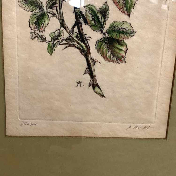 Rose Lithograph