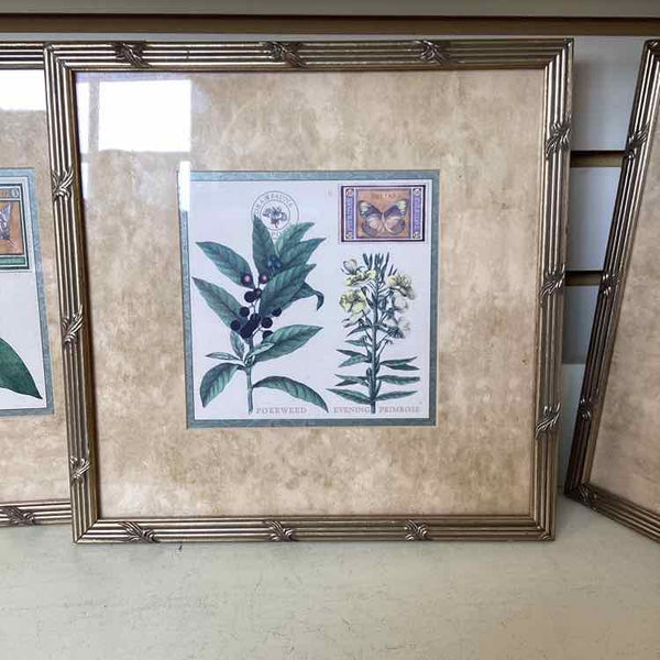 Three Fruit Prints