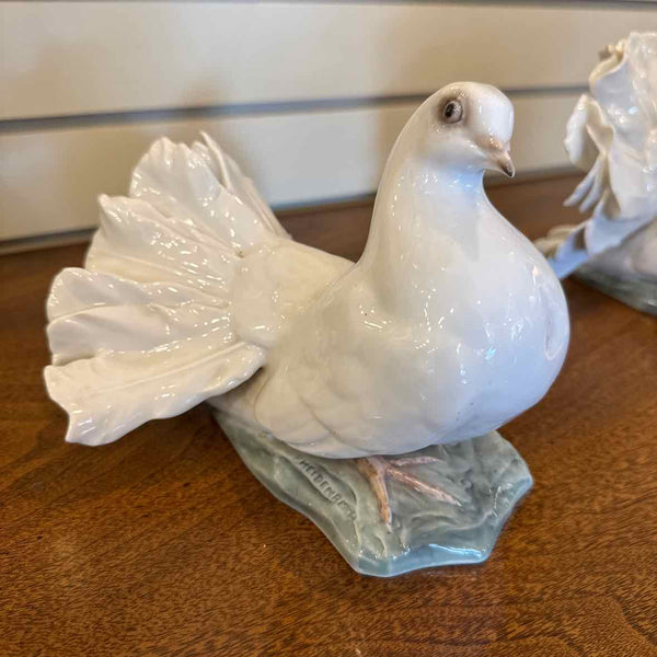 Pair of Rosenthal Doves