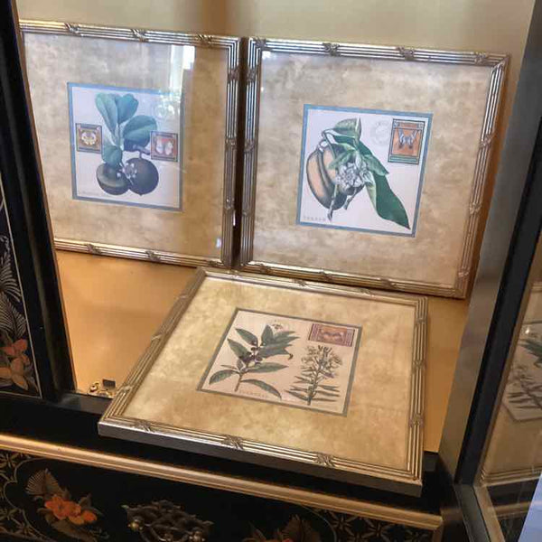 Three Fruit Prints