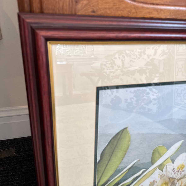 Signed & Numbered Dogwood Print by Carol Sharp