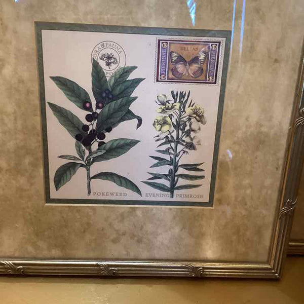 Three Fruit Prints