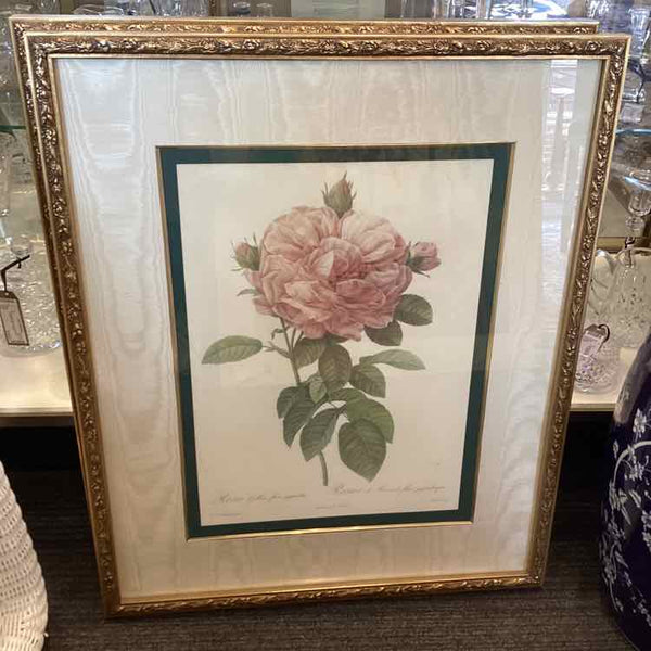 "The Rose" Framed Print