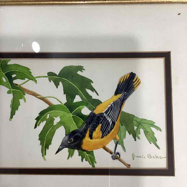 Goldfinch Watercolor