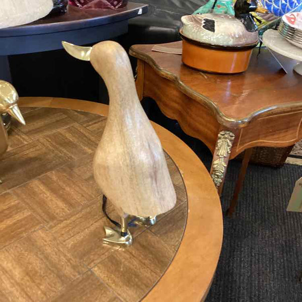 Wood Duck With Gold Feet And Beak
