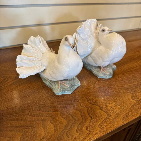 Pair of Rosenthal Doves