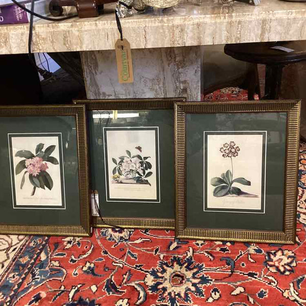 Three Botanical Prints
