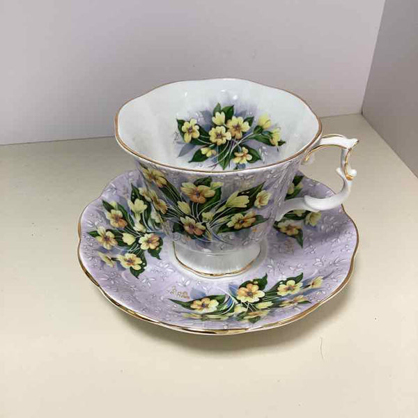 Cup & Saucer