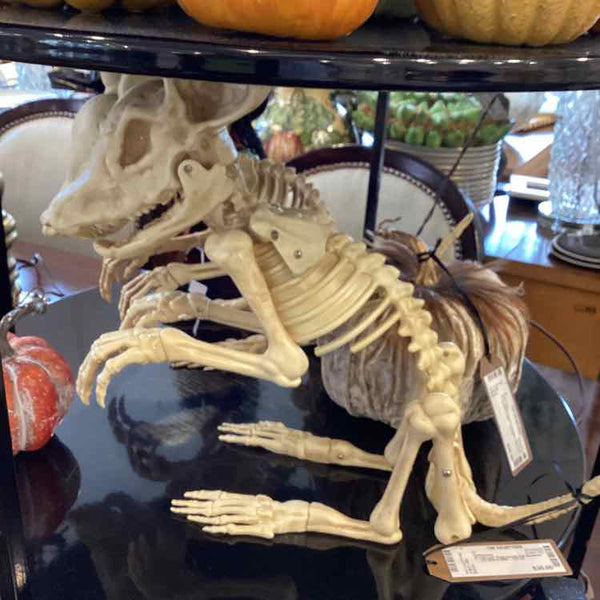 Animatronic Rat Skeleton