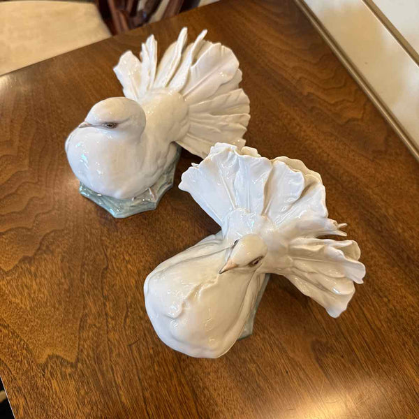Pair of Rosenthal Doves