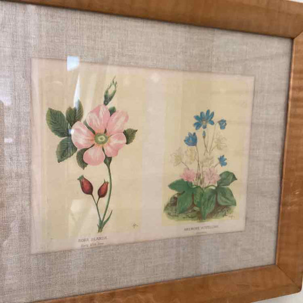Four Vintage Floral Prints