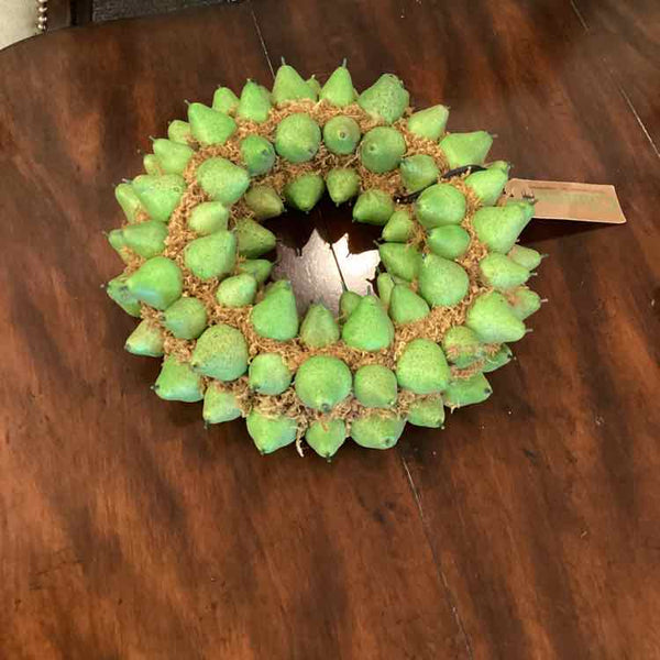 Pear Wreath Candleholder