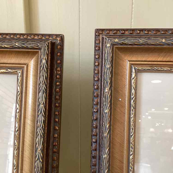 Pair Of Botanical Prints