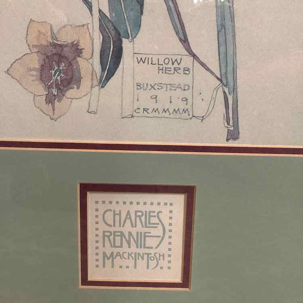 Willow Herb Macintosh Print - 1919