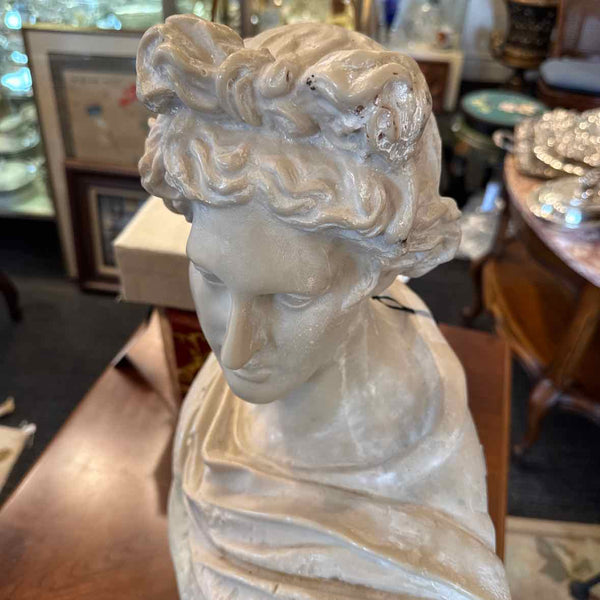 Large Bust Of Apollo