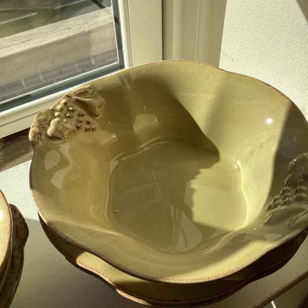 Casafina "Madiera Harvest" Set of 11 Bowls