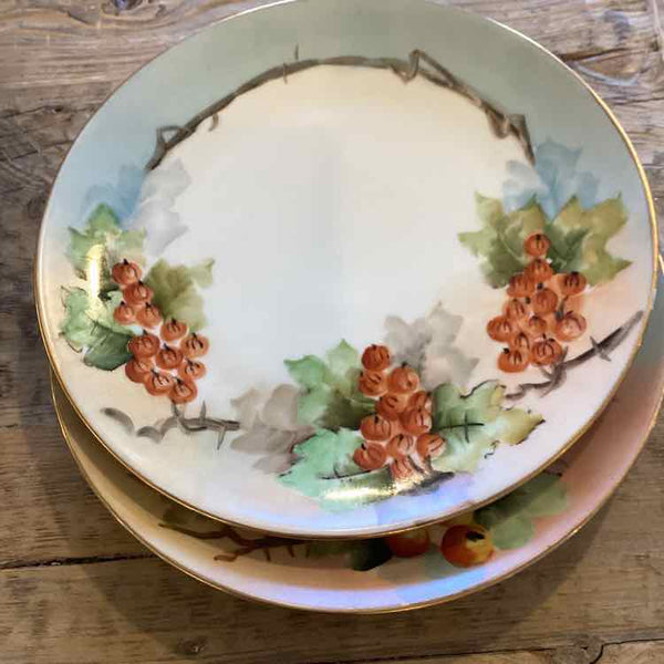 Nine Thomas Bavaria Fruit Plates