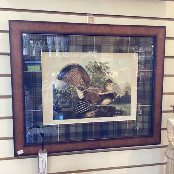 Framed Book Plate Print of Pheasant