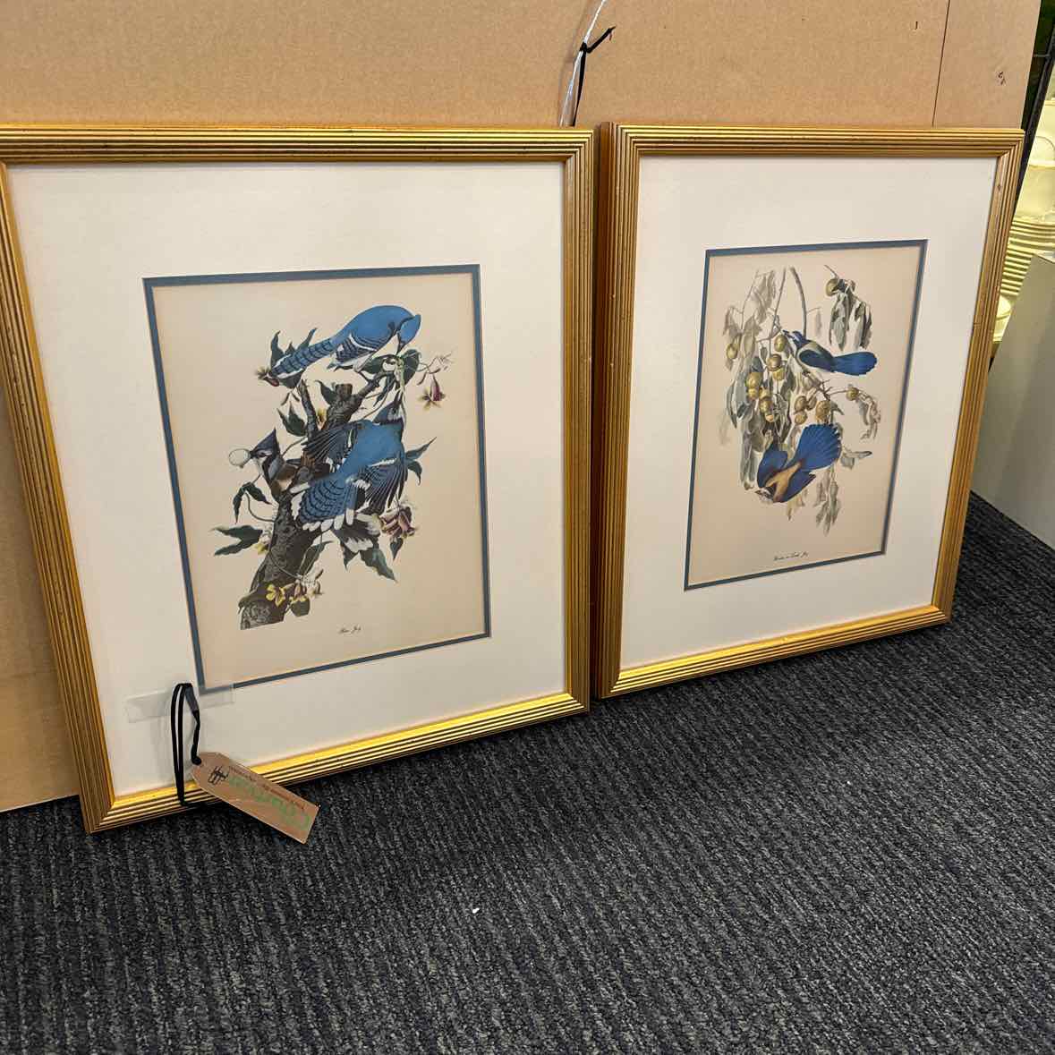 Pair of Bird Prints