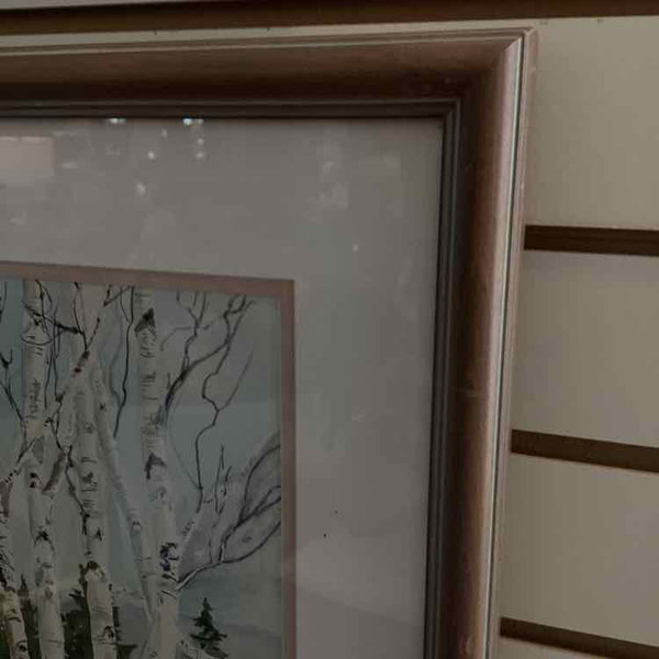"Birch Trees" Watercolor By Phyllis Drach