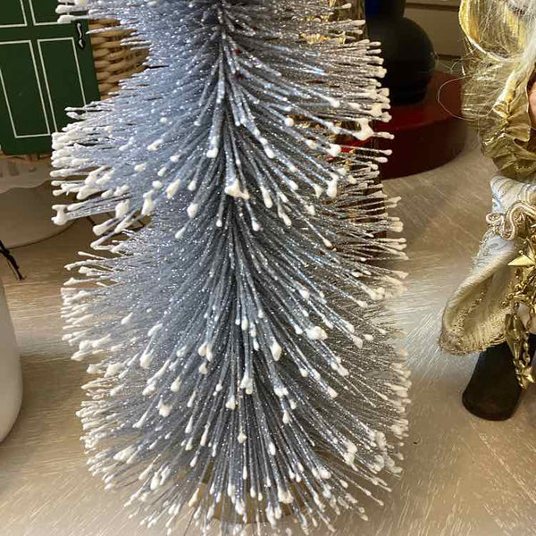 Silver Bristle Tree