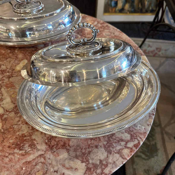 Pair Covered Vegetable Dishes