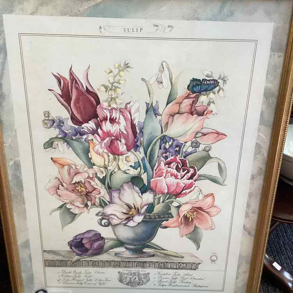 Two Botanical Prints
