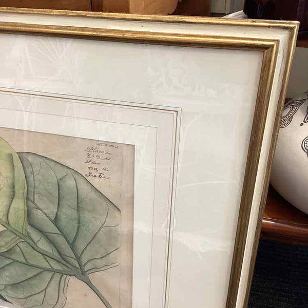 Plaso Floral Framed Print