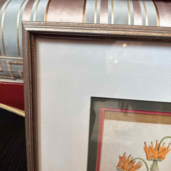 Framed Botanical 15 x 18" AS IS