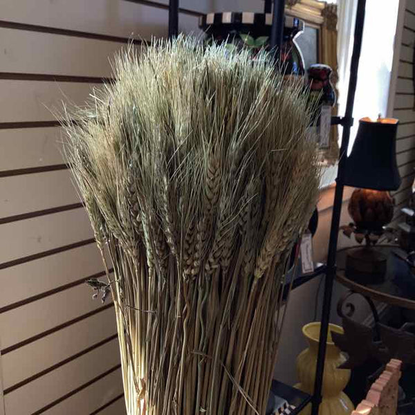 Dried Wheat Stalks