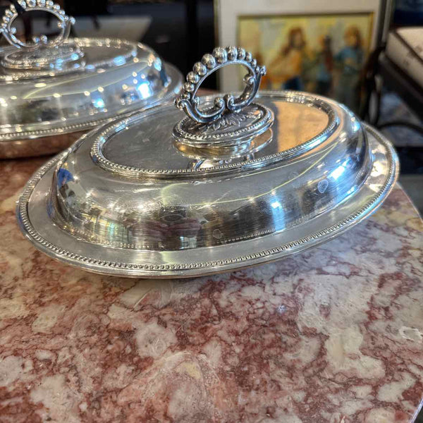 Pair Covered Vegetable Dishes