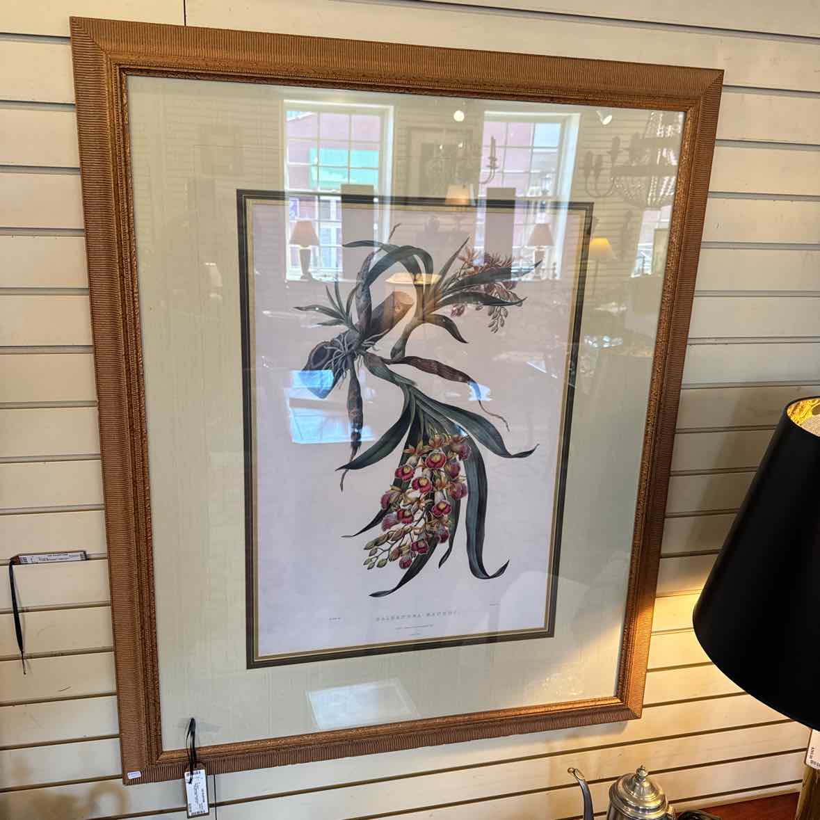 Botanical Orchid Print
