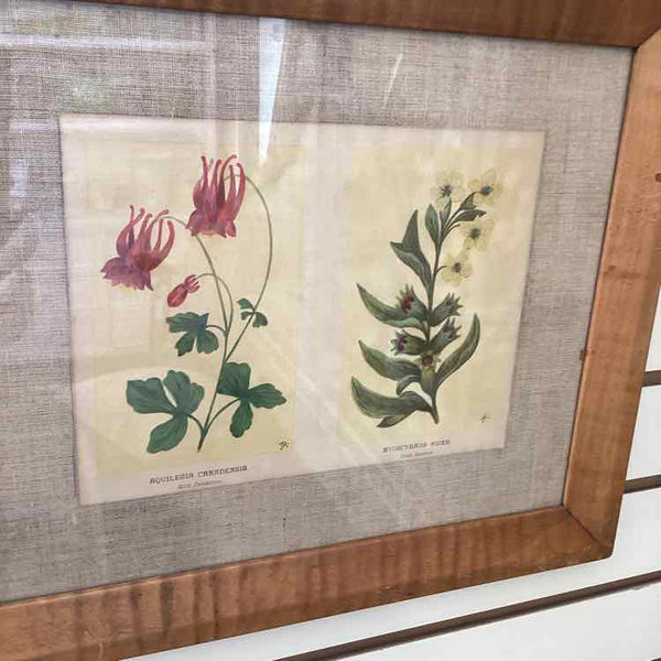 Four Vintage Floral Prints