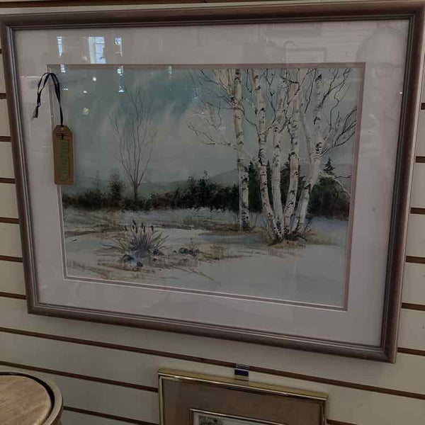 "Birch Trees" Watercolor By Phyllis Drach