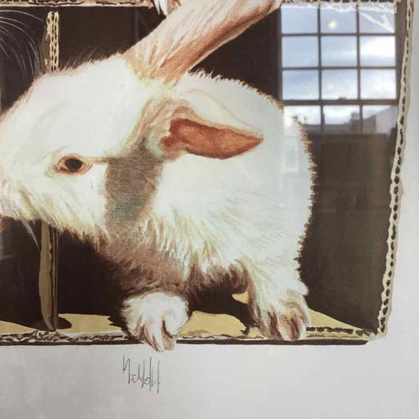 "Urban Secret" Bunny Print