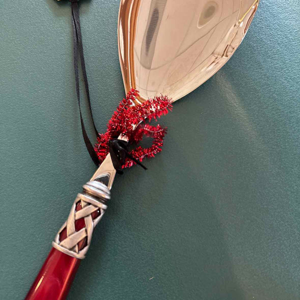 Virtri Aladdin Red Serving Spoon
