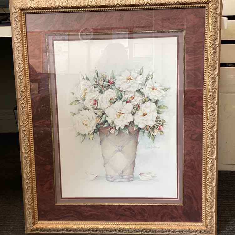 Framed Print of White Roses