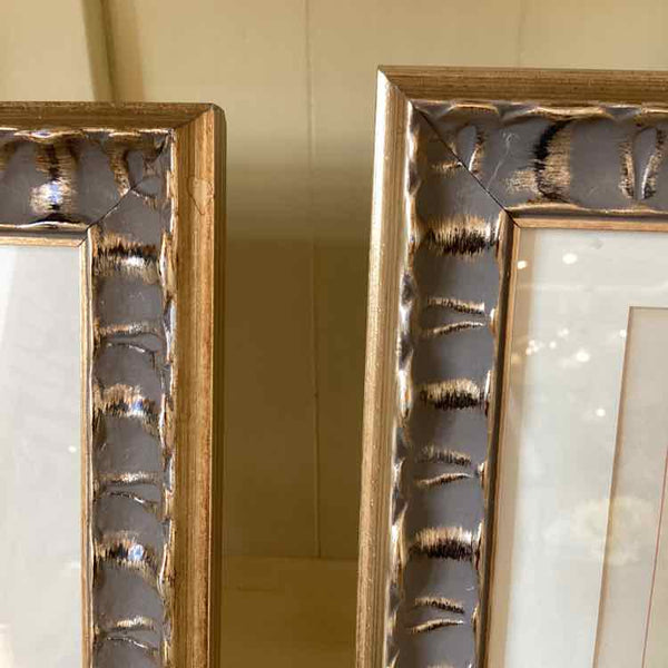 Pair Of Botanical Prints