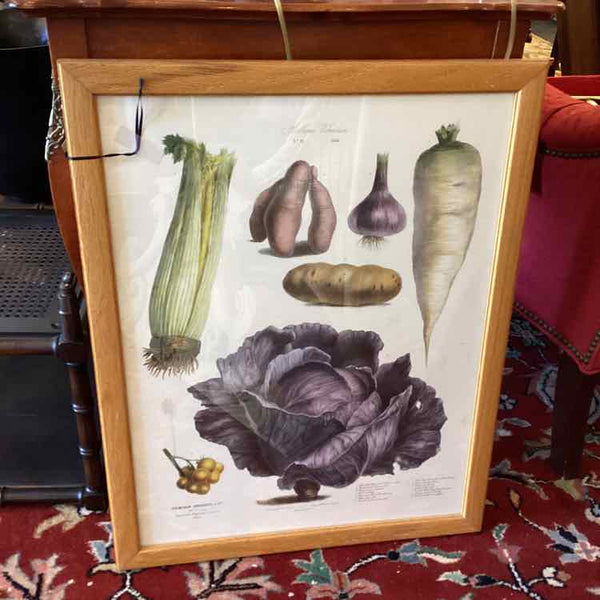 Vegetable Print In Oak Frame