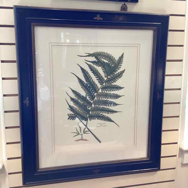 Fern Botanical Print In Black Frame