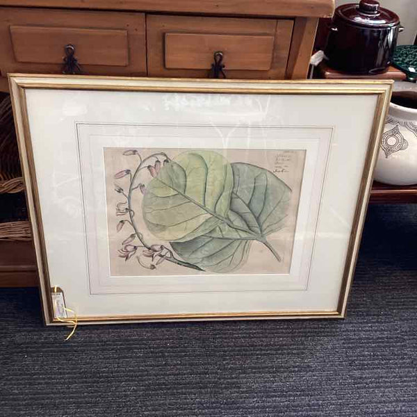 Plaso Floral Framed Print